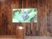 lhm`lh̒̒rrW^[Z^[̓eʐ^1