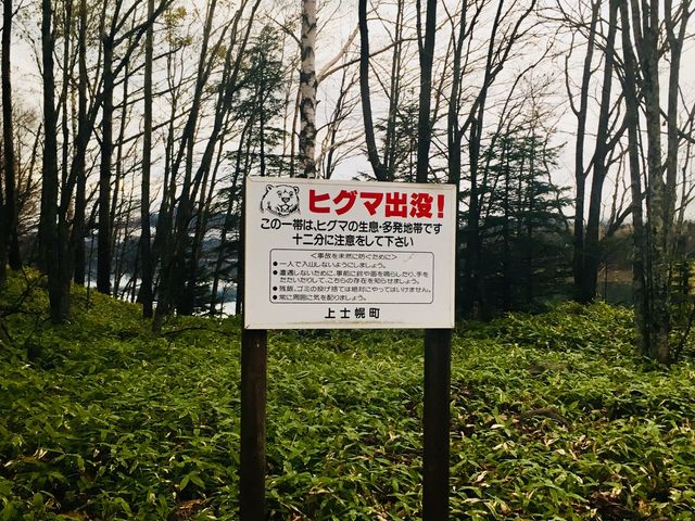 �q���̂𖢑R�ɖh�����߂Ɂr�̉��̏��͌F�ɂ����̂������ł��B_�Ђ�����Ꭹ�R�K�C�h�Z���^�[