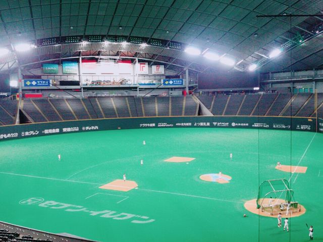 �o�b�N�l�b�g�����i���_��a�n�E�X�v���~�X�g�h�[��