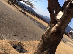 sup7xx00̋{T[rXGAijւ̓eʐ^1