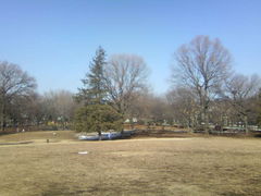 �ӂ������񂳂�̕{���̐X�����ւ̓��e�ʐ^1