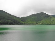 ܂񂳂̂ǂ̒r̓eʐ^1