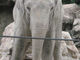 TANYさんの上野動物園モノレールの投稿写真3