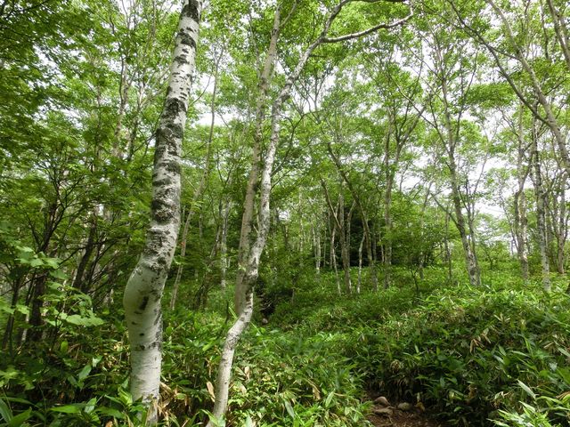 �����̐X_�l���R