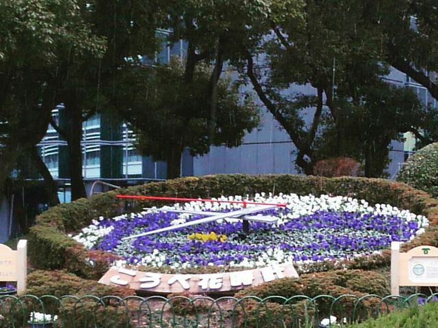 ���ꂢ_�_�ˉԎ��v