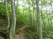 ܂܂ς񂾂̖鍳r̓eʐ^3