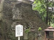 }Cann̑82ԎD@̓eʐ^1