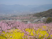 Ћǧ⒬̓̉Ԃ̓eʐ^2