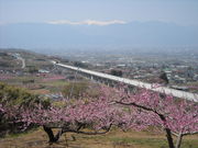 Ћǧ⒬̓̉Ԃ̓eʐ^3