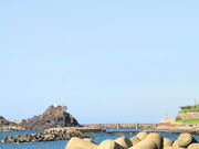 ���܂���񂳂�̔\���C������̓��e�ʐ^1