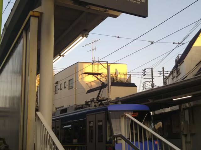 rXggL[̍Ŋw͏A_БOwłB_rXg@gL[