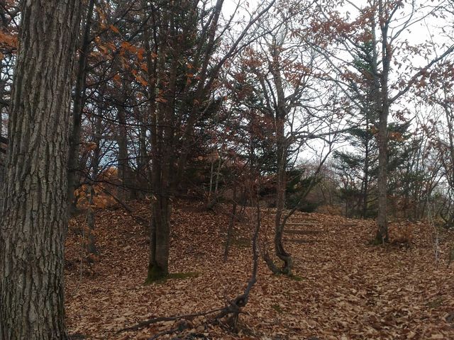 �t�͗����Ă��܂��܂������A�������͋C_�㈰�ʌ���