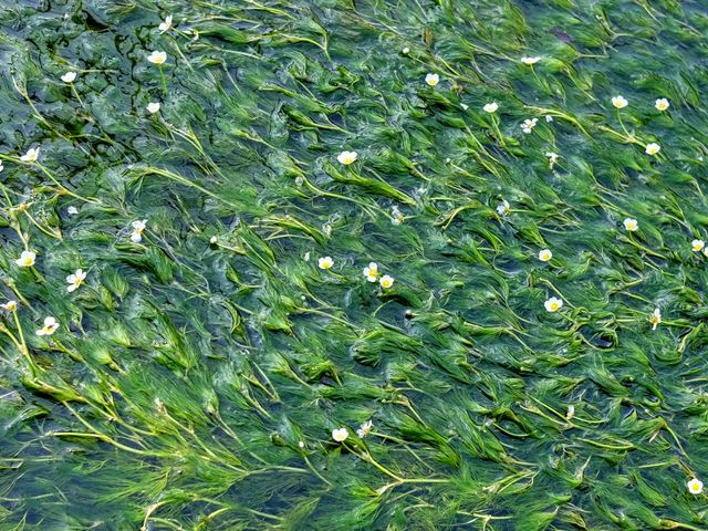 �~�ԑ�_����E�n����̔~�ԑ�