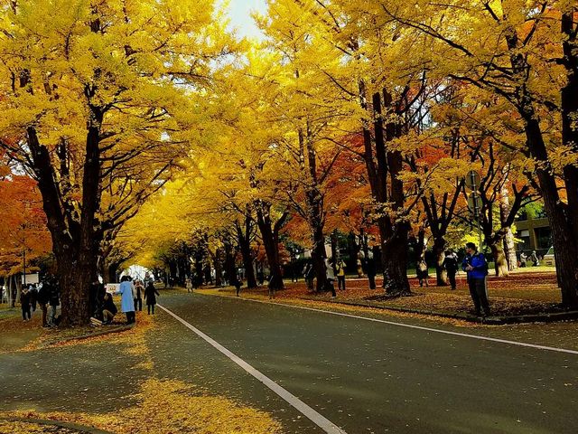 �k��_�k��C�`���E����