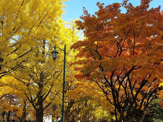 �k��_�k��C�`���E����