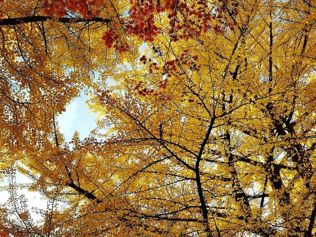 �k��_�k��C�`���E����