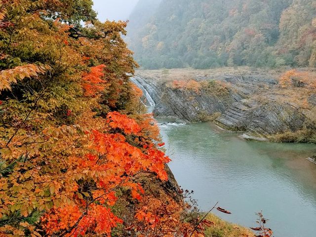 �璹�P��_��̏�����i�|���\�E�J���C�R�^���璹�P��j