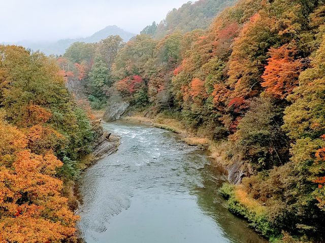 �璹�P��_��̏�����i�|���\�E�J���C�R�^���璹�P��j