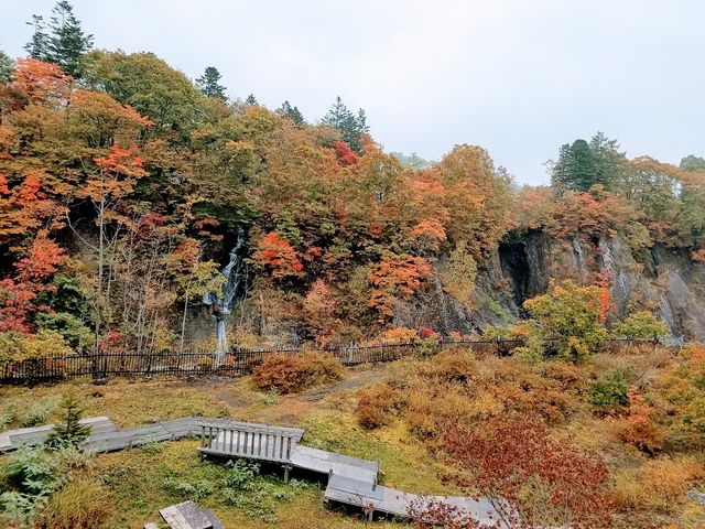 �璹�P��_��̏�����i�|���\�E�J���C�R�^���璹�P��j