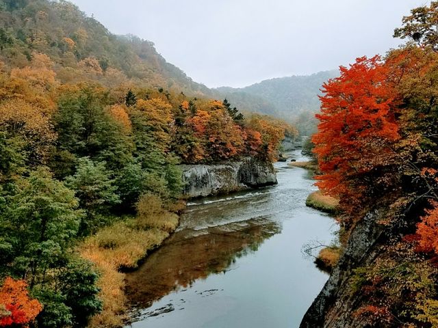 璹P_̏i|\EJCR^璹Pj