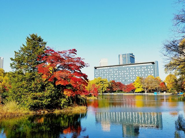 ��������_��������