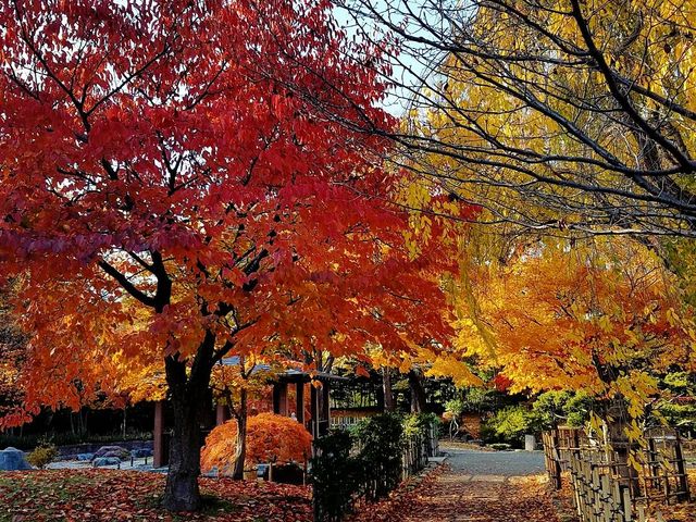 ��������_��������