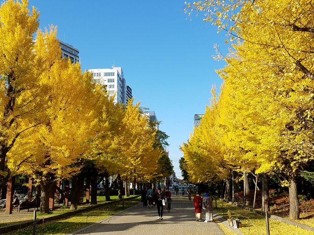 ��������_��������