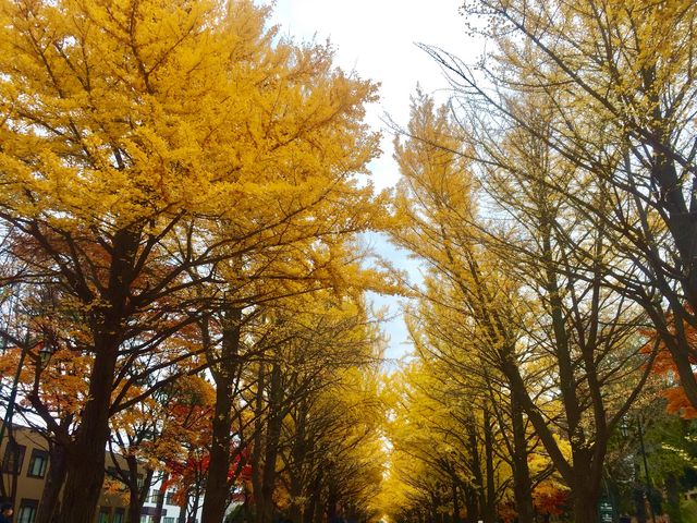 �C�`���E����_�k��C�`���E����