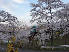 船岡城址公園スロープカーの口コミ一覧 じゃらんnet