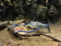 ܂܂ς񂾂̐EW ANAggӂւ̓eʐ^1