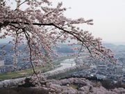 ܂[܂񂳂̑D隬̓eʐ^2