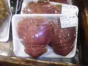 yassan̕ˍ`𗬍L̓eʐ^2