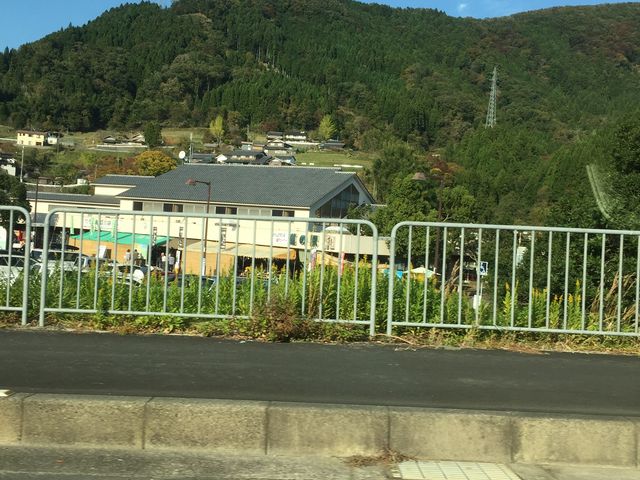 �Ԃ���Q�ĂĎB��܂����B_���̉w �a