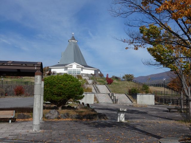 higekuma50̔эjR̓eʐ^2