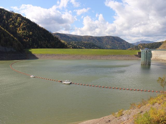 �����e��茩��_���_��