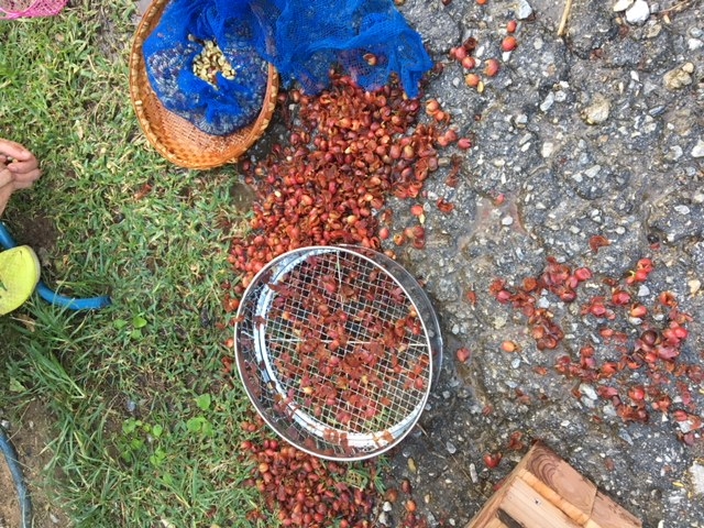 ���n�����R�[�q�[��_���g�R�[�q�[��