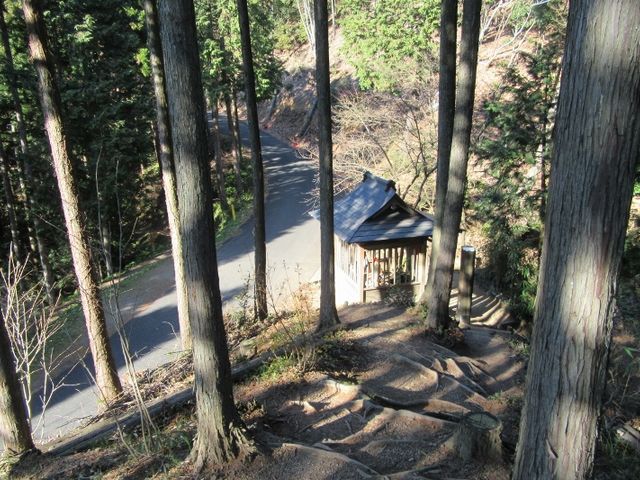 �k���n��_�O���[�����C���ɉ������݂�