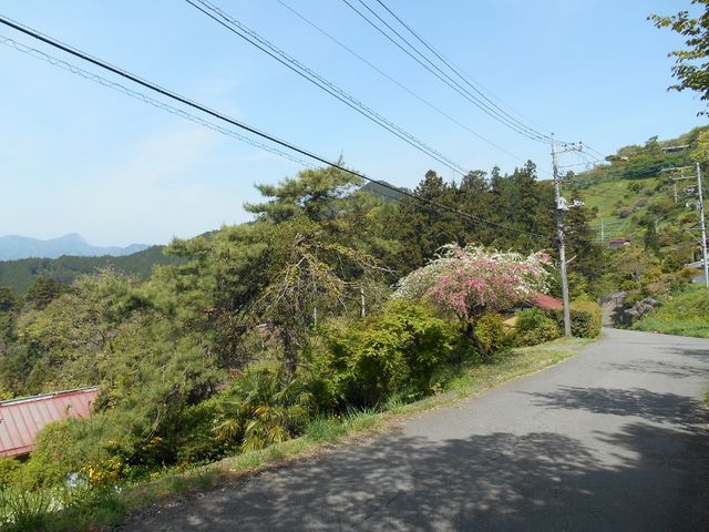 ��U�蓻_�O���[�����C���ɉ������݂�