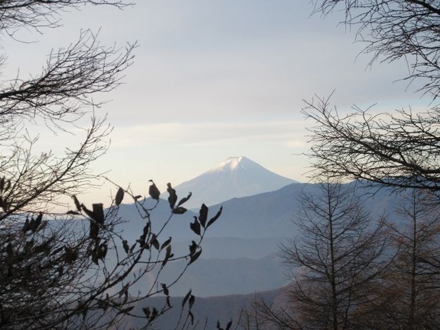 �R������̕x�m�R
_�_��R�i��ʌ������s�j