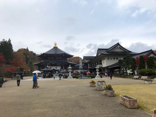 �{��_��`�@�� ������