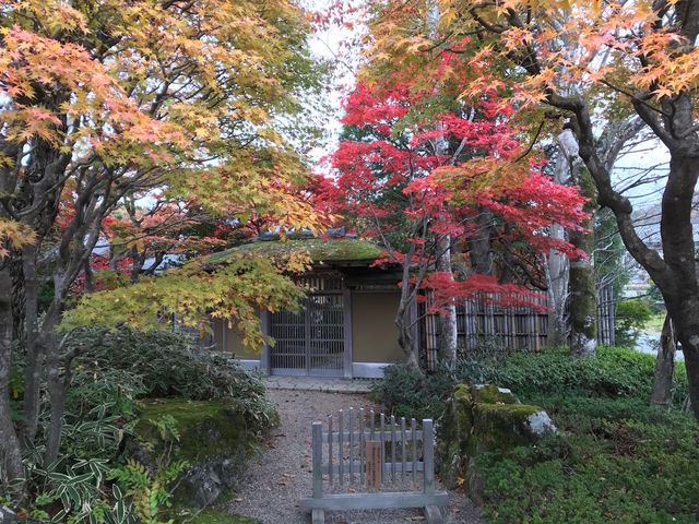 ����������_��`�@�� ������