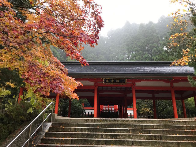 �p��a�ƍg�t_���V�@