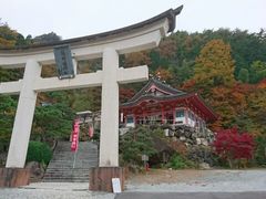 菊ちゃんさんの夫婦木神社の投稿写真1