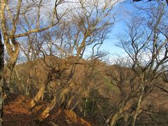 �܁`�ځ`����̓V�ڎR�ւ̓��e�ʐ^1