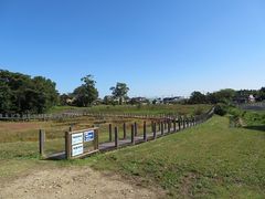 �L������̐�쎼���A���Q���ւ̓��e�ʐ^1