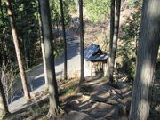 ܁`ځ`̃O[Cɉ݂̓eʐ^1