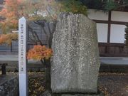 Ղ邯񂳂̓Z̋̓eʐ^1