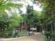 �܁`�ځ`����̎q�m�����̓�{�X�M�̓��e�ʐ^1