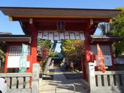 pon����񂳂�̌F��_�Ђ̓��e�ʐ^1