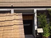 artnekô悵[ z̓eʐ^1